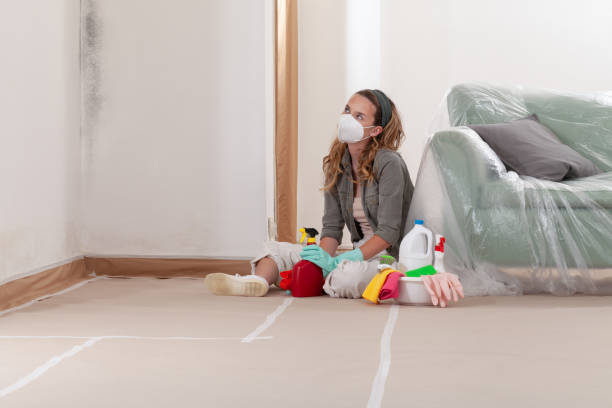 Reliable Mold Cleanup contractor in Anna, TX by Cheap Mold Removal